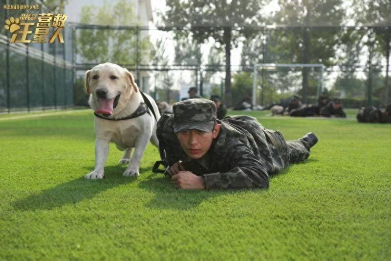 电影《营救汪星人》定档2026贺岁档