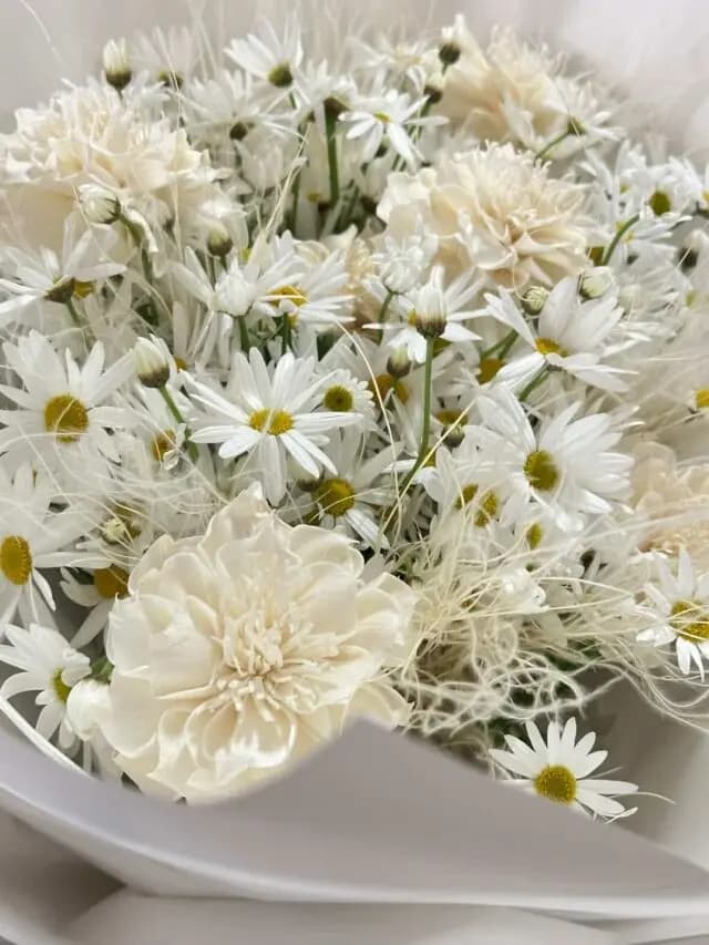 李朱英分享权志龙演唱会照片 豪门网红人脉圈与奢侈生活曝光