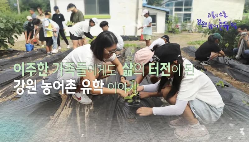 MBC江原英东频道照片，杨喜恩旁白江原农渔村留学纪录片宣传图