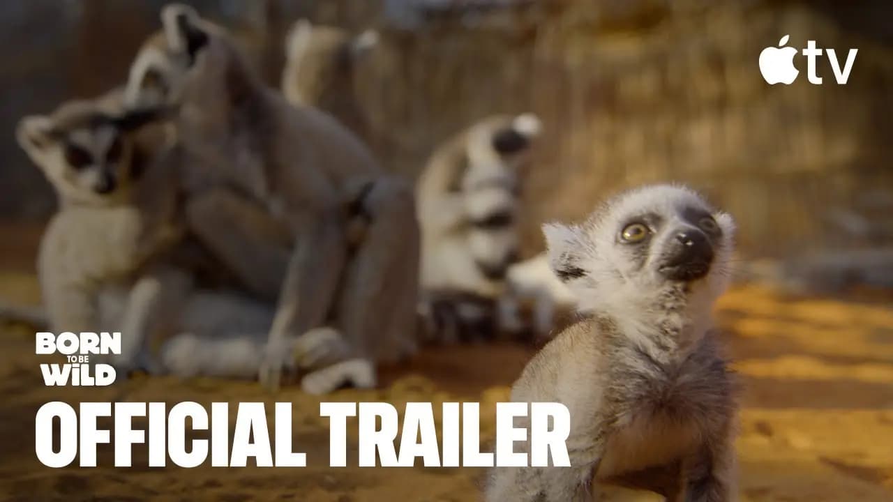 Born to Be Wild Apple TV+ nature documentary trailer highlighting endangered animals