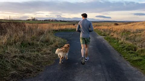 健康饮食与生活方式的概念图，呼应天然身体排毒的主题