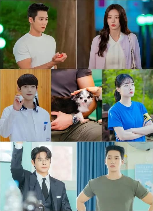 tvN韩剧Spring Fever安普贤与李主傧剧照，展现搞笑浪漫氛围