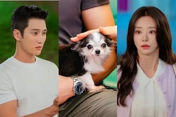 tvN电视剧Spring Fever海报，安普贤与李主傧主演的浪漫喜剧氛围，展示冬日粉红罗曼史