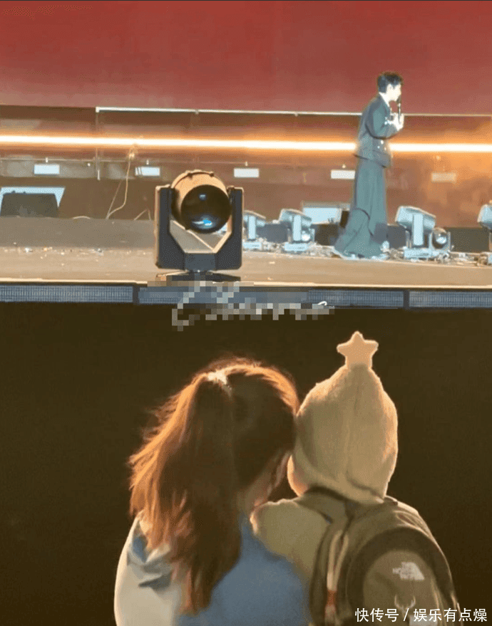 魏晨在演唱会舞台上发光发热的专业形象