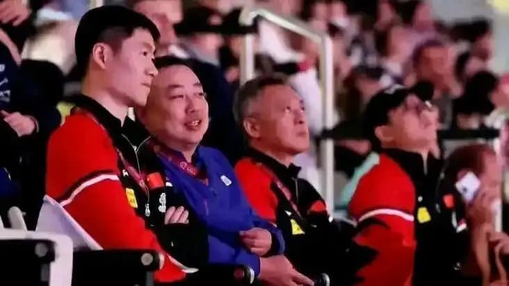 樊振东在国际乒乓球赛场上挥拍对决的精彩瞬间